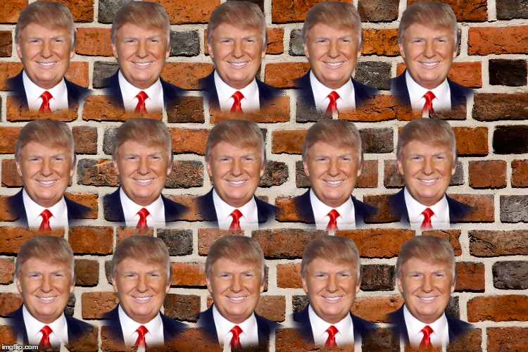The Wall Of Trump | image tagged in donald trump,wall,memes,funny | made w/ Imgflip meme maker