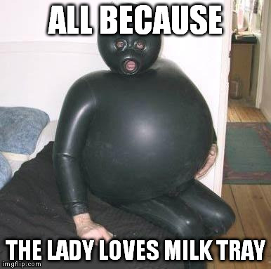 milk tray | ALL BECAUSE; THE LADY LOVES MILK TRAY | image tagged in chocolate | made w/ Imgflip meme maker