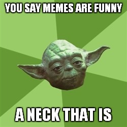 Advice Yoda | YOU SAY MEMES ARE FUNNY; A NECK THAT IS | image tagged in memes,advice yoda | made w/ Imgflip meme maker