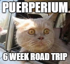 Road Trip | PUERPERIUM; 6 WEEK ROAD TRIP | image tagged in road trip | made w/ Imgflip meme maker