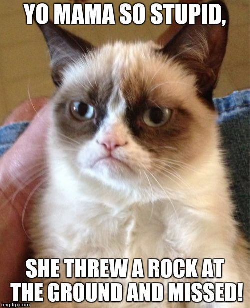 Grumpy Cat Meme | YO MAMA SO STUPID, SHE THREW A ROCK AT THE GROUND AND MISSED! | image tagged in memes,grumpy cat | made w/ Imgflip meme maker