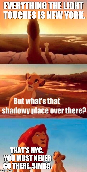 Simba Shadowy Place | EVERYTHING THE LIGHT TOUCHES IS NEW YORK. THAT'S NYC. YOU MUST NEVER GO THERE, SIMBA. | image tagged in memes,simba shadowy place | made w/ Imgflip meme maker