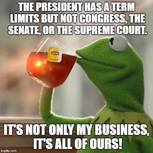 But That's None Of My Business | THE PRESIDENT HAS A TERM LIMITS BUT NOT CONGRESS, THE SENATE, OR THE SUPREME COURT. IT'S NOT ONLY MY BUSINESS, IT'S ALL OF OURS! | image tagged in memes,but thats none of my business,kermit the frog | made w/ Imgflip meme maker