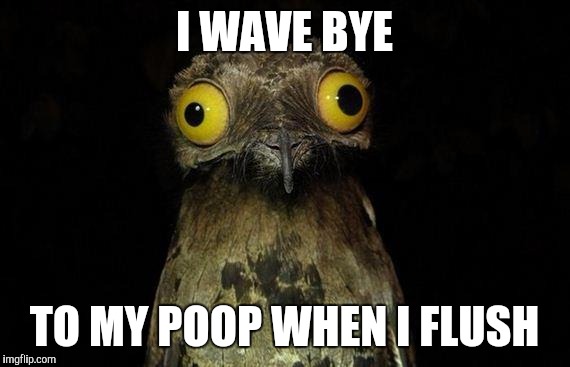 Weird Stuff I Do Potoo | I WAVE BYE; TO MY POOP WHEN I FLUSH | image tagged in memes,weird stuff i do potoo | made w/ Imgflip meme maker