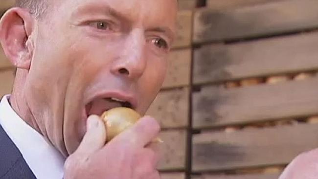 Tony Abbott Onion Blank Meme Template