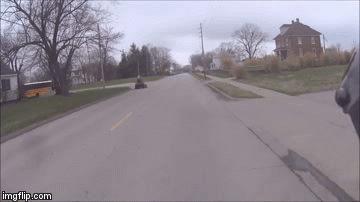 image tagged in gifs | made w/ Imgflip video-to-gif maker