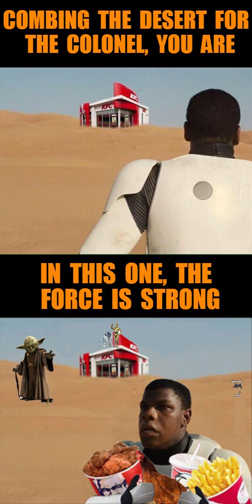 Star Wars 1 | COMBING  THE  DESERT  FOR  THE  COLONEL,  YOU  ARE; IN  THIS  ONE,  THE  FORCE  IS  STRONG | image tagged in funny | made w/ Imgflip meme maker