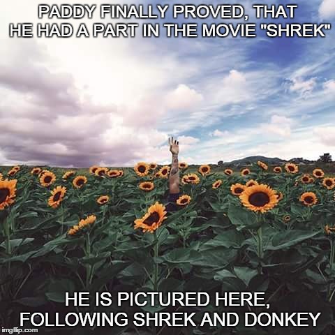 Paddy and Shrek | PADDY FINALLY PROVED, THAT HE HAD A PART IN THE MOVIE "SHREK"; HE IS PICTURED HERE, FOLLOWING SHREK AND DONKEY | image tagged in funny memes,shrek,donkey from shrek | made w/ Imgflip meme maker