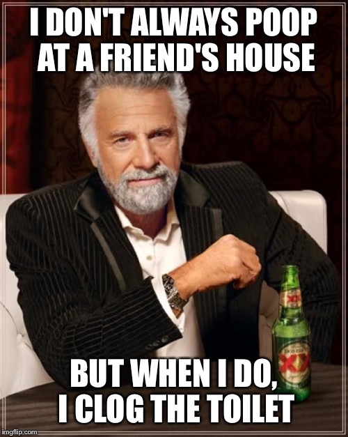 The Most Interesting Man In The World | I DON'T ALWAYS POOP AT A FRIEND'S HOUSE; BUT WHEN I DO, I CLOG THE TOILET | image tagged in memes,the most interesting man in the world | made w/ Imgflip meme maker