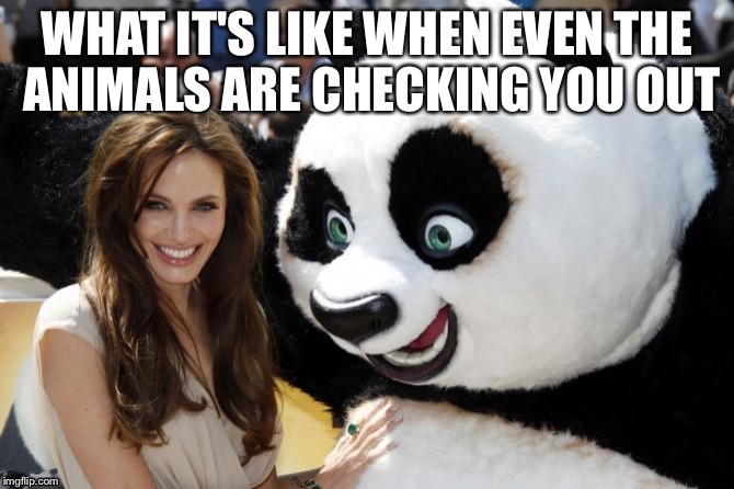 WHAT IT'S LIKE WHEN EVEN THE ANIMALS ARE CHECKING YOU OUT | image tagged in kung fu panda,oblivious woman,good stuff | made w/ Imgflip meme maker