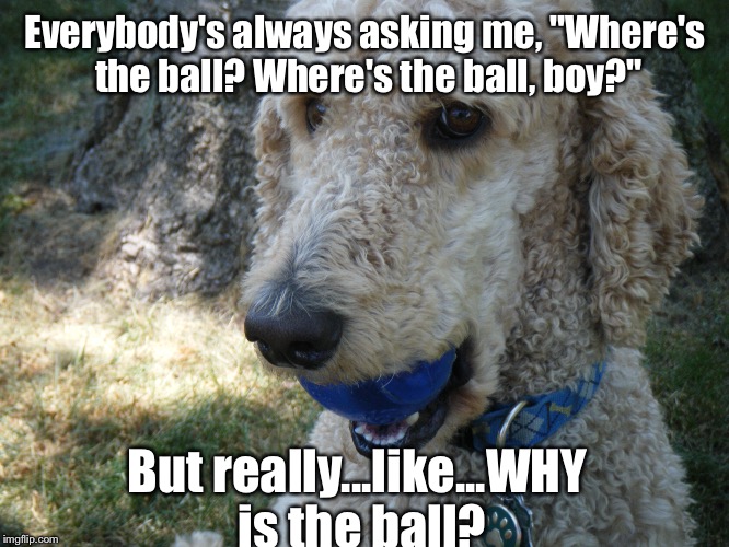 This Dog's Been Smokin... | Everybody's always asking me, "Where's the ball? Where's the ball, boy?"; But really...like...WHY is the ball? | image tagged in memes,dogs,weed | made w/ Imgflip meme maker