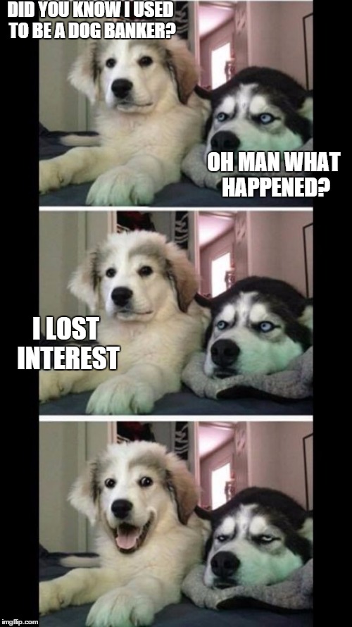 Bad joke dogs | DID YOU KNOW I USED TO BE A DOG BANKER? OH MAN WHAT HAPPENED? I LOST INTEREST | image tagged in bad joke dogs | made w/ Imgflip meme maker