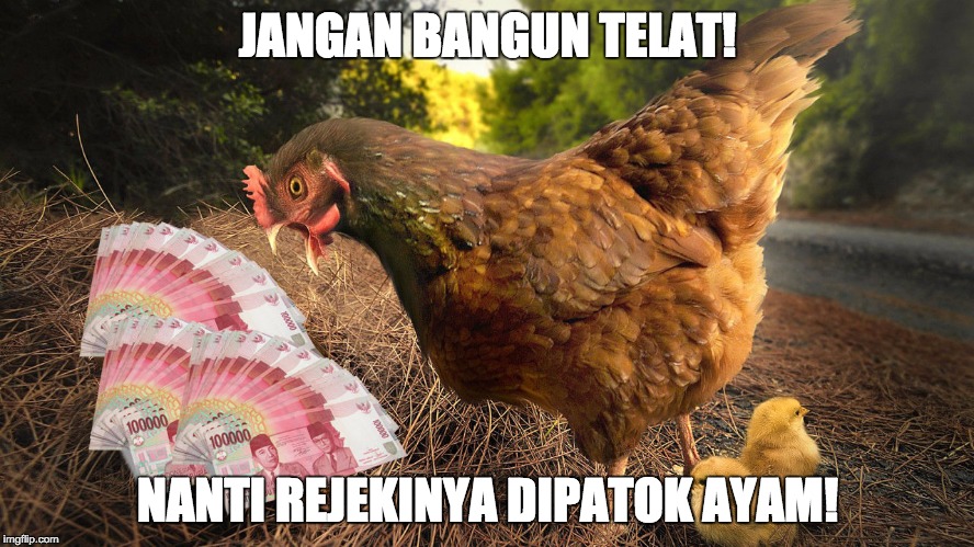 JANGAN BANGUN TELAT! NANTI REJEKINYA DIPATOK AYAM! | made w/ Imgflip meme maker