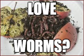 LOVE; WORMS? | image tagged in worm apple | made w/ Imgflip meme maker