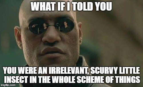 Matrix Morpheus Meme | WHAT IF I TOLD YOU YOU WERE AN IRRELEVANT, SCURVY LITTLE INSECT IN THE WHOLE SCHEME OF THINGS | image tagged in memes,matrix morpheus | made w/ Imgflip meme maker