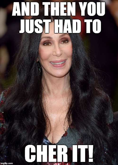 cher | AND THEN YOU JUST HAD TO CHER IT! | image tagged in cher | made w/ Imgflip meme maker
