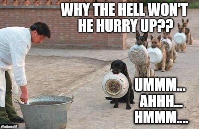 WHY THE HELL WON'T HE HURRY UP?? UMMM... AHHH... HMMM.... | image tagged in dog soup line | made w/ Imgflip meme maker