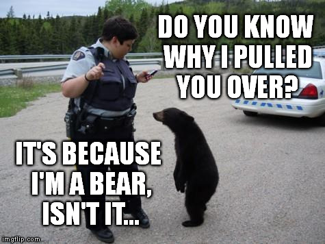 Wildlife Profiling In Canada Needs To Stop! | DO YOU KNOW WHY I PULLED YOU OVER? IT'S BECAUSE I'M A BEAR, ISN'T IT... | image tagged in canadian cop,bear,pulled over,profiling | made w/ Imgflip meme maker