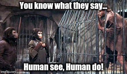 You know what they say... Human see, Human do! | image tagged in planet of the apes | made w/ Imgflip meme maker