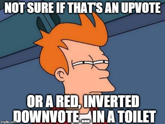 Futurama Fry Meme | NOT SURE IF THAT'S AN UPVOTE OR A RED, INVERTED DOWNVOTE ... IN A TOILET | image tagged in memes,futurama fry | made w/ Imgflip meme maker
