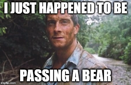 I JUST HAPPENED TO BE PASSING A BEAR | image tagged in bear grylls | made w/ Imgflip meme maker