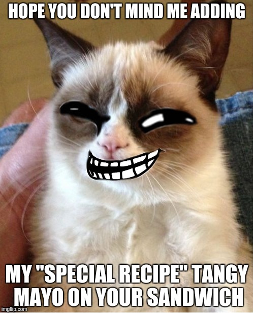 Troll Cat | HOPE YOU DON'T MIND ME ADDING; MY "SPECIAL RECIPE" TANGY MAYO ON YOUR SANDWICH | image tagged in troll cat | made w/ Imgflip meme maker