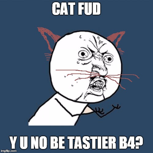 Y U No Meme | CAT FUD Y U NO BE TASTIER B4? | image tagged in memes,y u no | made w/ Imgflip meme maker
