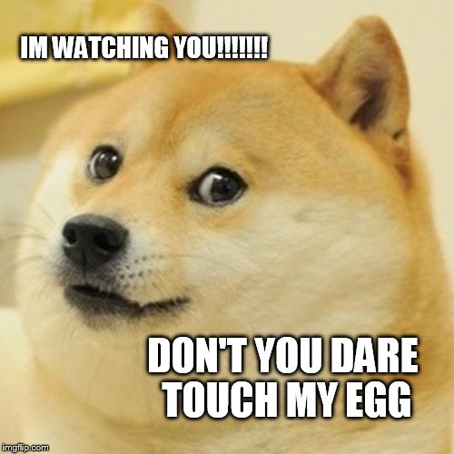 Doge Meme | IM WATCHING YOU!!!!!!! DON'T YOU DARE TOUCH MY EGG | image tagged in memes,doge | made w/ Imgflip meme maker