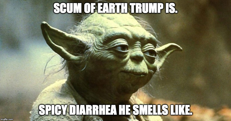 contemplating yoda | SCUM OF EARTH TRUMP IS. SPICY DIARRHEA HE SMELLS LIKE. | image tagged in contemplating yoda | made w/ Imgflip meme maker