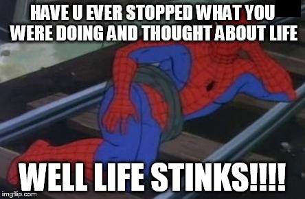 Sexy Railroad Spiderman Meme | HAVE U EVER STOPPED WHAT YOU WERE DOING AND THOUGHT ABOUT LIFE; WELL LIFE STINKS!!!! | image tagged in memes,sexy railroad spiderman,spiderman | made w/ Imgflip meme maker