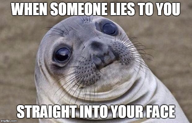 Awkward Moment Sealion | WHEN SOMEONE LIES TO YOU; STRAIGHT INTO YOUR FACE | image tagged in memes,awkward moment sealion | made w/ Imgflip meme maker