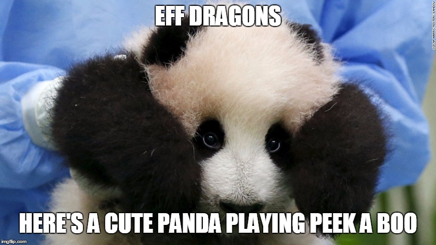 Panda! | EFF DRAGONS; HERE'S A CUTE PANDA PLAYING PEEK A BOO | image tagged in cute panda,memes | made w/ Imgflip meme maker