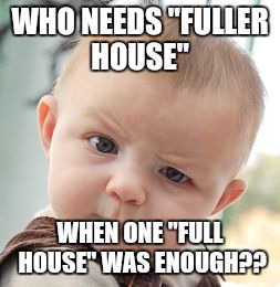 Skeptical Baby Meme | WHO NEEDS "FULLER HOUSE"; WHEN ONE "FULL HOUSE" WAS ENOUGH?? | image tagged in memes,skeptical baby | made w/ Imgflip meme maker