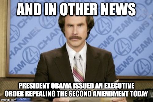 Ron Burgundy | AND IN OTHER NEWS; PRESIDENT OBAMA ISSUED AN EXECUTIVE ORDER REPEALING THE SECOND AMENDMENT TODAY | image tagged in memes,ron burgundy | made w/ Imgflip meme maker