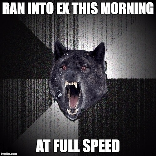 Insanity Wolf | RAN INTO EX THIS MORNING; AT FULL SPEED | image tagged in insanity wolf | made w/ Imgflip meme maker