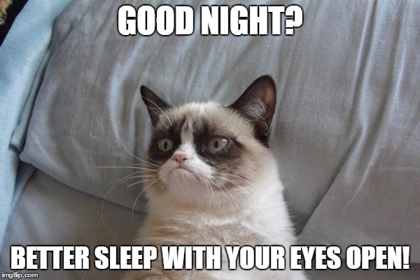Grumpy Cat Bed | GOOD NIGHT? BETTER SLEEP WITH YOUR EYES OPEN! | image tagged in memes,grumpy cat bed,grumpy cat | made w/ Imgflip meme maker