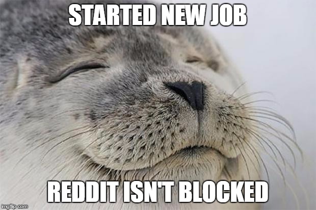 Satisfied Seal | STARTED NEW JOB; REDDIT ISN'T BLOCKED | image tagged in memes,satisfied seal,AdviceAnimals | made w/ Imgflip meme maker