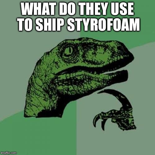 Philosoraptor Meme | WHAT DO THEY USE TO SHIP STYROFOAM | image tagged in memes,philosoraptor | made w/ Imgflip meme maker