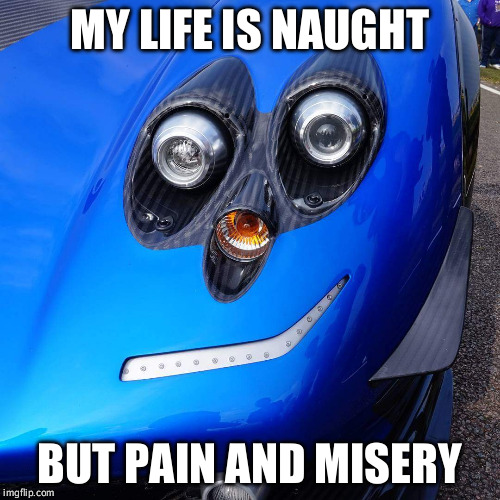Pain and Misery | MY LIFE IS NAUGHT; BUT PAIN AND MISERY | image tagged in life,pain,feels | made w/ Imgflip meme maker