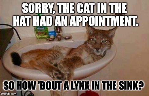 Saw this...rewrote it a little bit: | SORRY, THE CAT IN THE HAT HAD AN APPOINTMENT. SO HOW 'BOUT A LYNX IN THE SINK? | image tagged in memes,wildcats,wtf,lmao,cat in the hat | made w/ Imgflip meme maker