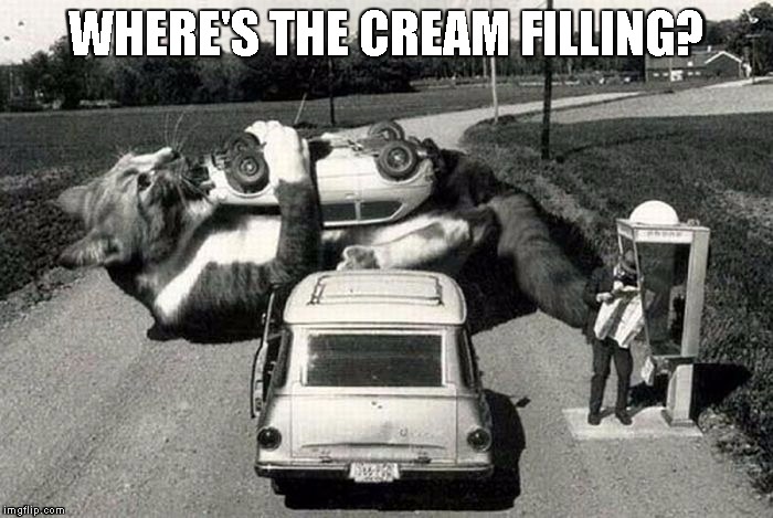 WHERE'S THE CREAM FILLING? | image tagged in twinkie,catzilla | made w/ Imgflip meme maker