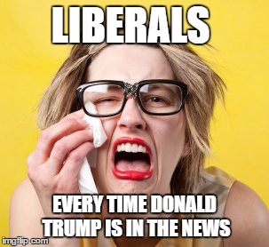 LIBERALS EVERY TIME DONALD TRUMP IS IN THE NEWS | made w/ Imgflip meme maker