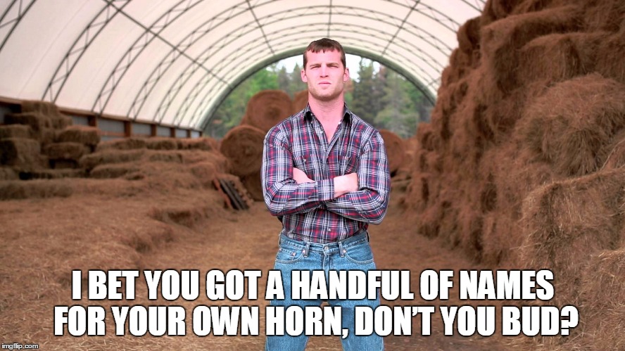 I BET YOU GOT A HANDFUL OF NAMES FOR YOUR OWN HORN, DON’T YOU BUD? | made w/ Imgflip meme maker