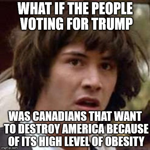 Conspiracy Keanu | WHAT IF THE PEOPLE VOTING FOR TRUMP; WAS CANADIANS THAT WANT TO DESTROY AMERICA BECAUSE OF ITS HIGH LEVEL OF OBESITY | image tagged in memes,conspiracy keanu | made w/ Imgflip meme maker