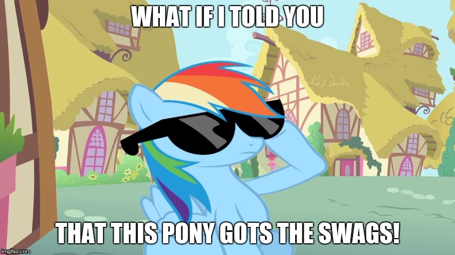 WHAT IF I TOLD YOU; THAT THIS PONY GOTS THE SWAGS! | image tagged in rainbow dash shades | made w/ Imgflip meme maker