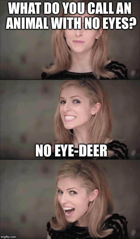 Bad Pun Anna Kendrick | WHAT DO YOU CALL AN ANIMAL WITH NO EYES? NO EYE-DEER | image tagged in memes,bad pun anna kendrick | made w/ Imgflip meme maker