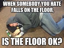 When somebody you hate falls on the floor. | WHEN SOMEBODY YOU HATE FALLS ON THE FLOOR, IS THE FLOOR OK? | image tagged in life truths,hate | made w/ Imgflip meme maker