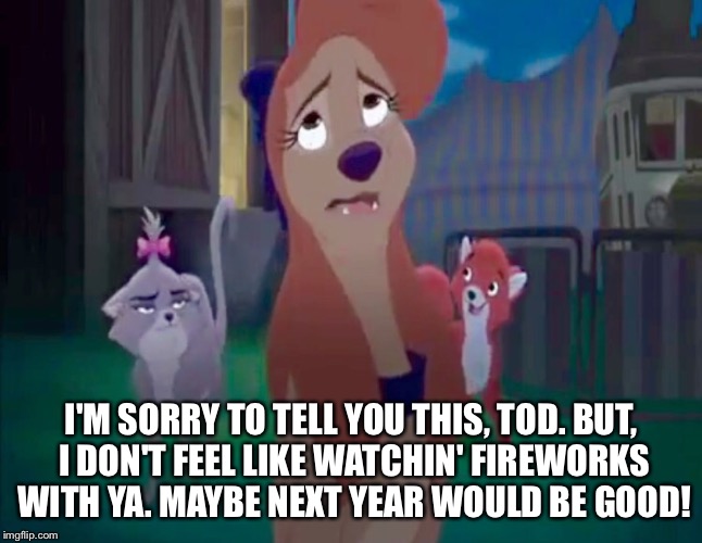 I Don't Feel Like Watchin' Fireworks | I'M SORRY TO TELL YOU THIS, TOD. BUT, I DON'T FEEL LIKE WATCHIN' FIREWORKS WITH YA. MAYBE NEXT YEAR WOULD BE GOOD! | image tagged in sad dixie,memes,disney,the fox and the hound 2,dixie,dog | made w/ Imgflip meme maker