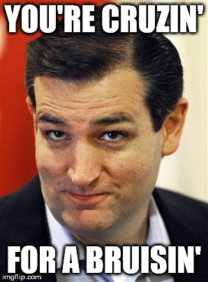 reowr | YOU'RE CRUZIN'; FOR A BRUISIN' | image tagged in cruz | made w/ Imgflip meme maker