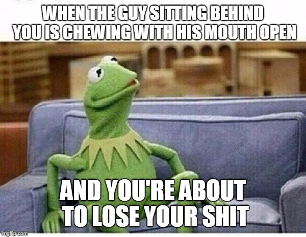 KERMIT | WHEN THE GUY SITTING BEHIND YOU IS CHEWING WITH HIS MOUTH OPEN; AND YOU'RE ABOUT TO LOSE YOUR SHIT | image tagged in kermit | made w/ Imgflip meme maker
